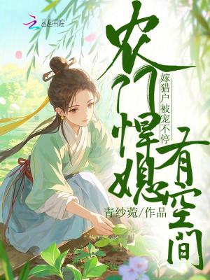 贺年夏婳最后和谁在一起了