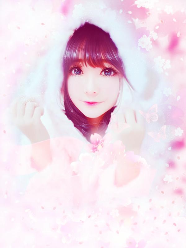 沈锦瑶霍宸最新章节